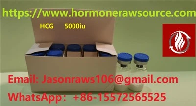 HCG（ヒト絨毛性ゴナドトロピン）5000IUボディービルCAS：9002-61-3